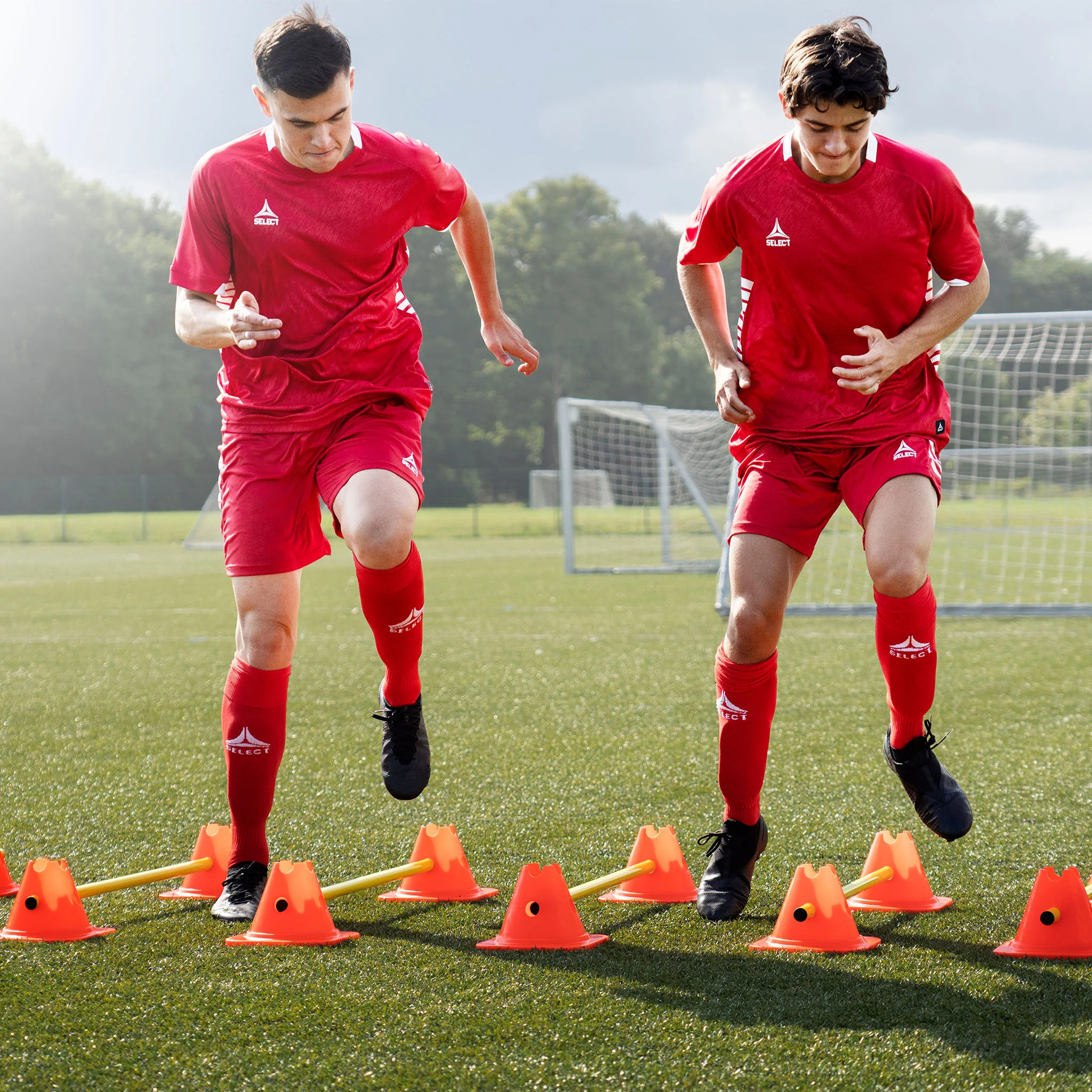 Agility set with cones and poles - Image 2